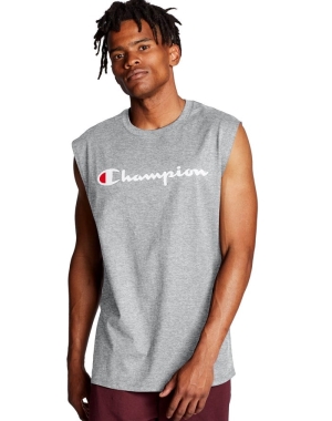 Grey Champion Classic Jersey Script Logo Men's T-Shirts | SYJGOB546